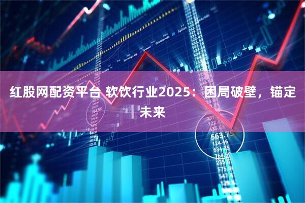 红股网配资平台 软饮行业2025：困局破壁，锚定未来