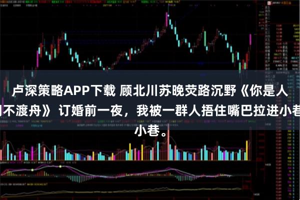 卢深策略APP下载 顾北川苏晚荧路沉野《你是人间不渡舟》 订婚前一夜，我被一群人捂住嘴巴拉进小巷。