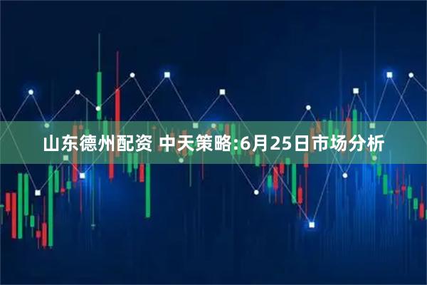 山东德州配资 中天策略:6月25日市场分析